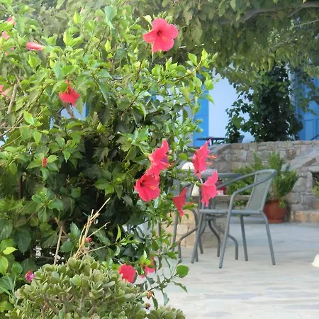 Mykonos Vouniotis Gasthuis