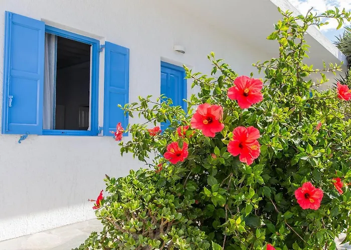 Mykonos Vouniotis 3*