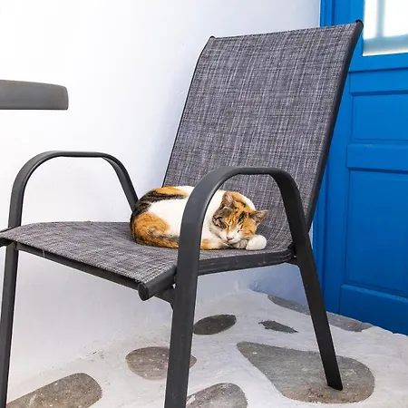 Maison d'hôtes Mykonos Vouniotis