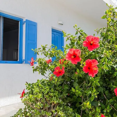 Mykonos Vouniotis 3*