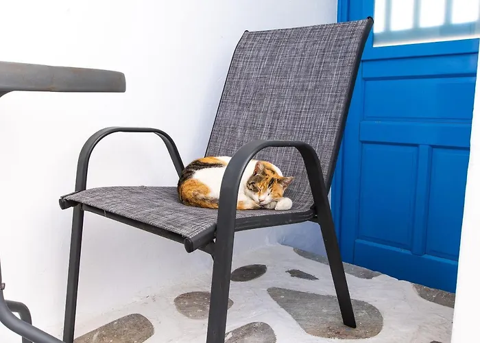 Pensjonat Mykonos Vouniotis